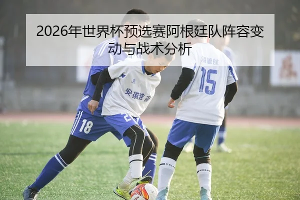 2026年世界杯预选赛阿根廷队阵容变动与战术分析