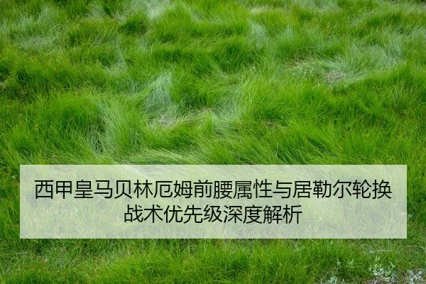 西甲皇马贝林厄姆前腰属性与居勒尔轮换战术优先级深度解析