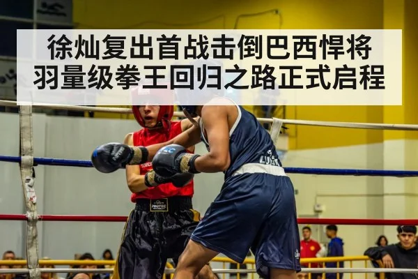 徐灿复出首战击倒巴西悍将 羽量级拳王回归之路正式启程