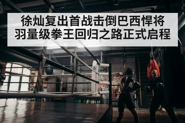 boxer training hard