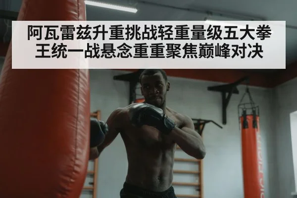boxer training heavy bag